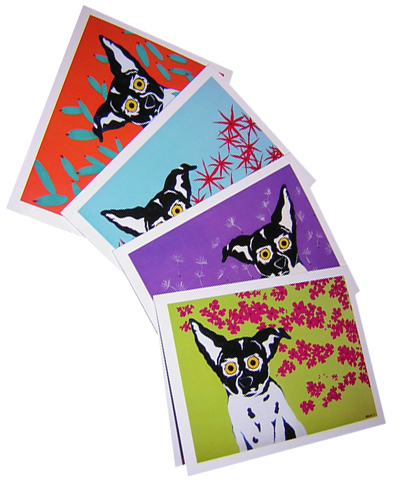 Note Cards